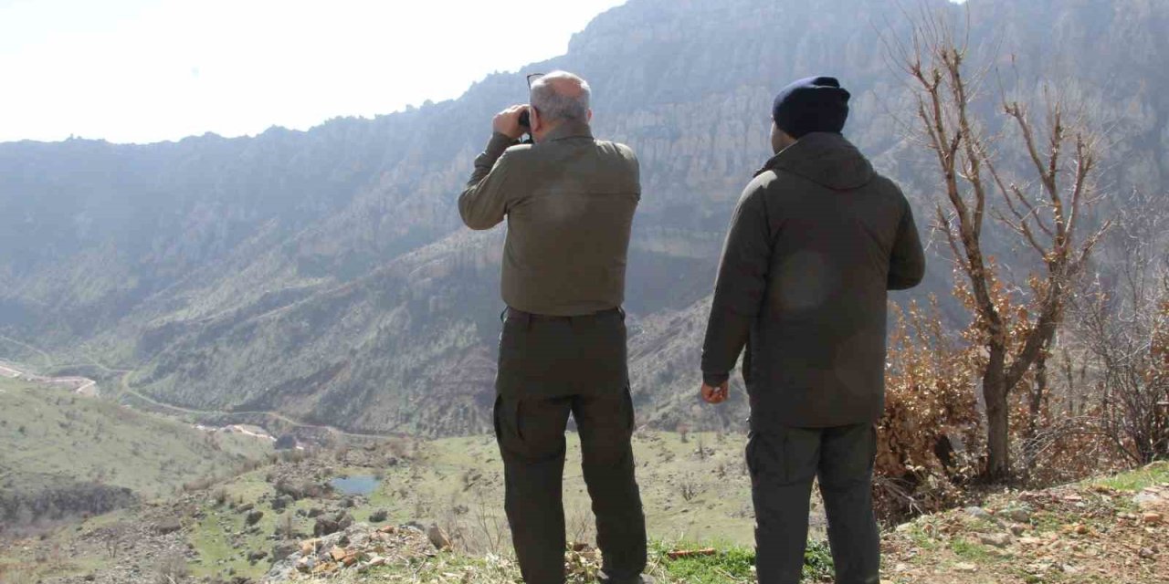 Şırnak’ta Kaçak Avcılığa Karşı Dron ve Fotokapanlarla Sıkı Denetim