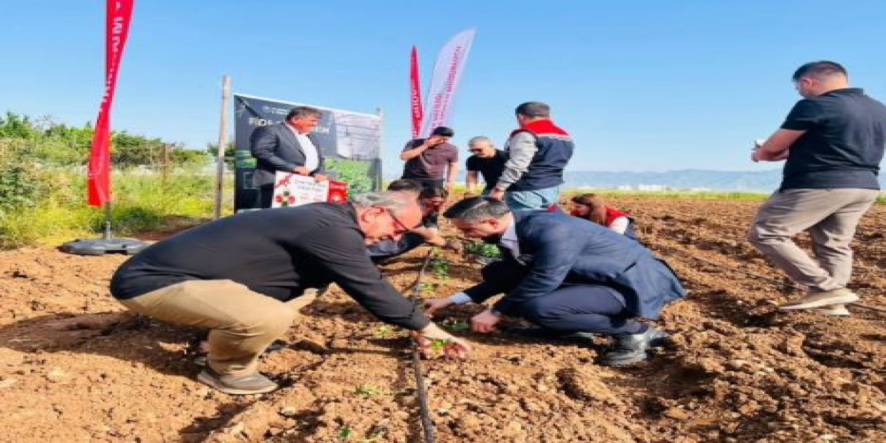 Silopi’de “Şehri Nuh Yazlık Sebzecilikte Üretiyor” Projesi Kapsamında Fide Dikimi Yapıldı