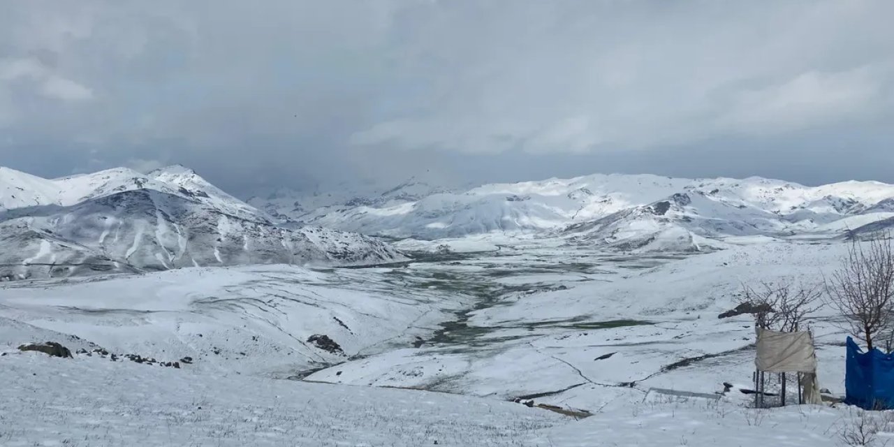 Faraşin Yaylası Beyaza Büründü: Besiciler Hayvanlarını Kar Üzerinde Otlattı