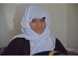 Şırnak'ta Kovid-19'u yenen asırlık çınarlardan "aşı" çağrısı