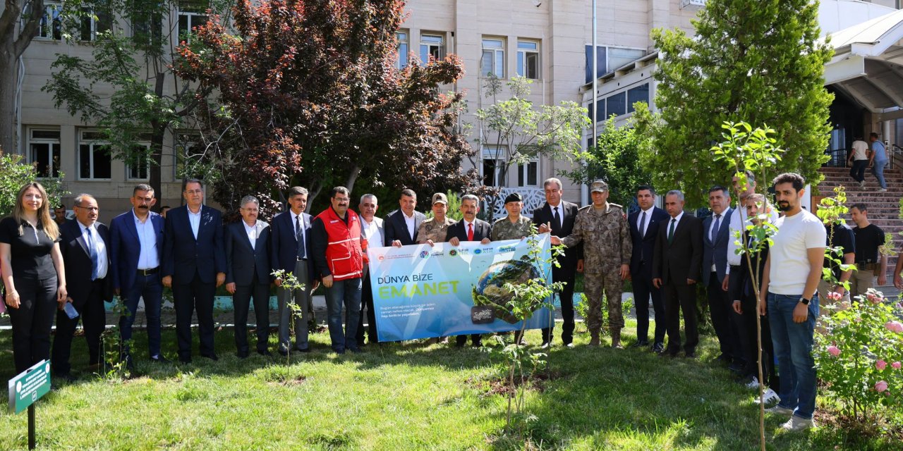 Dünya Çevre Günü’nde Şırnak’ta Fidanlar Toprakla Buluştu