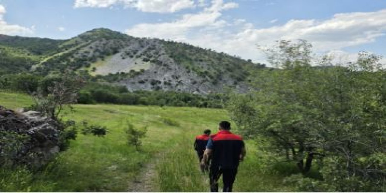 Şırnak’ta Çekirge Uyarısı: Üreticilere Mücadele Çağrısı
