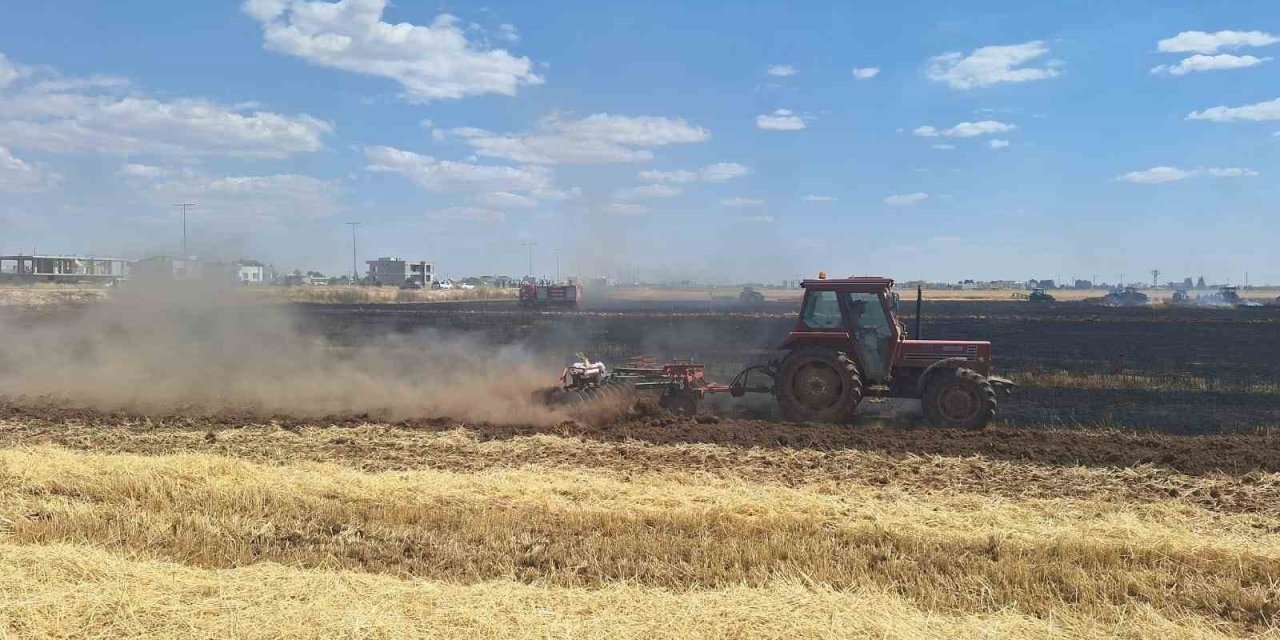 80 dönüm buğday ekili tarla küle döndü
