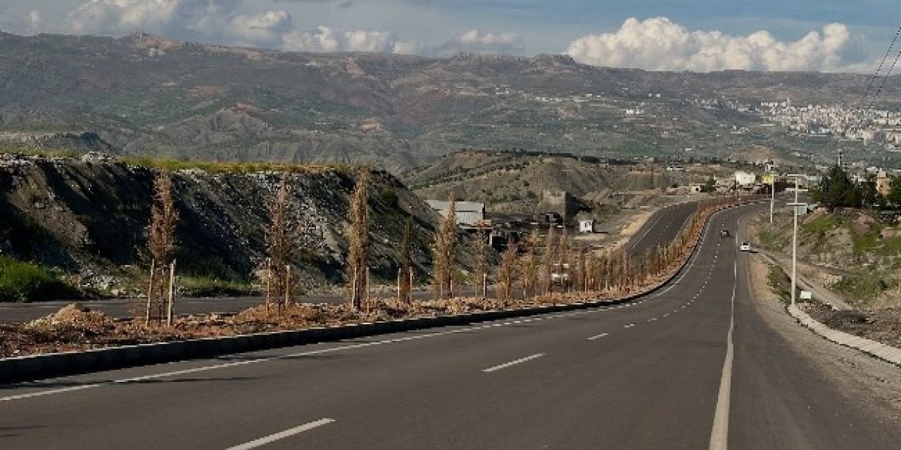 Geçen Yıl Kurudular, Bu Yıl da Aynı Kaderi Yaşamasınlar