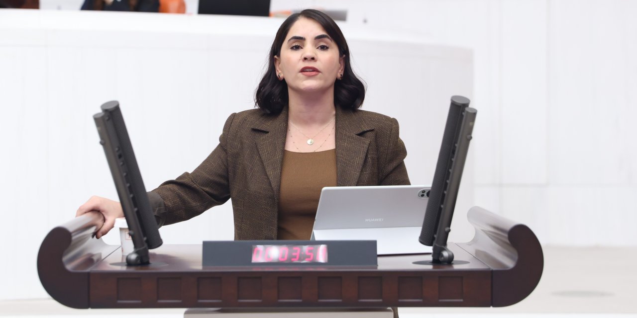 DEM Parti Şırnak Milletvekili Uysal Aslan’dan Eğitim-Senliler İçin Meclis Araştırması Talebi