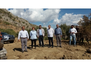 Kozluk'ta "Bal Ormanı Projesi" hayata geçirilecek