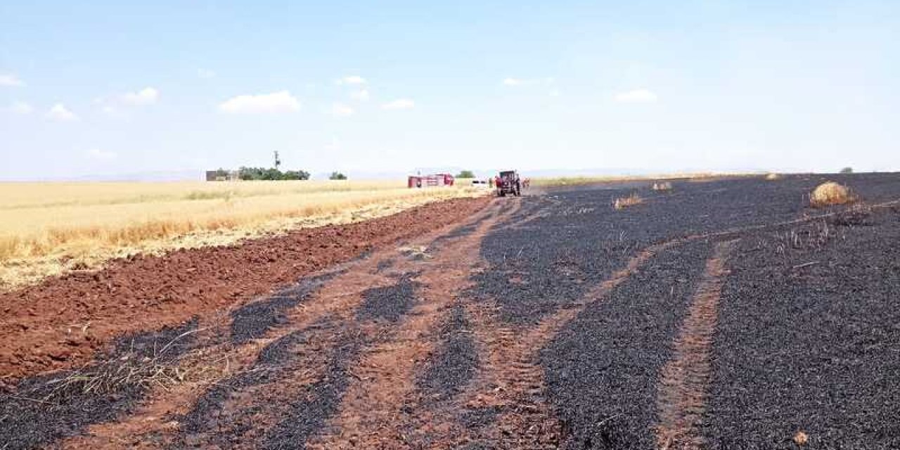 Mardin'de 150 dekar buğday ekili alan küle döndü