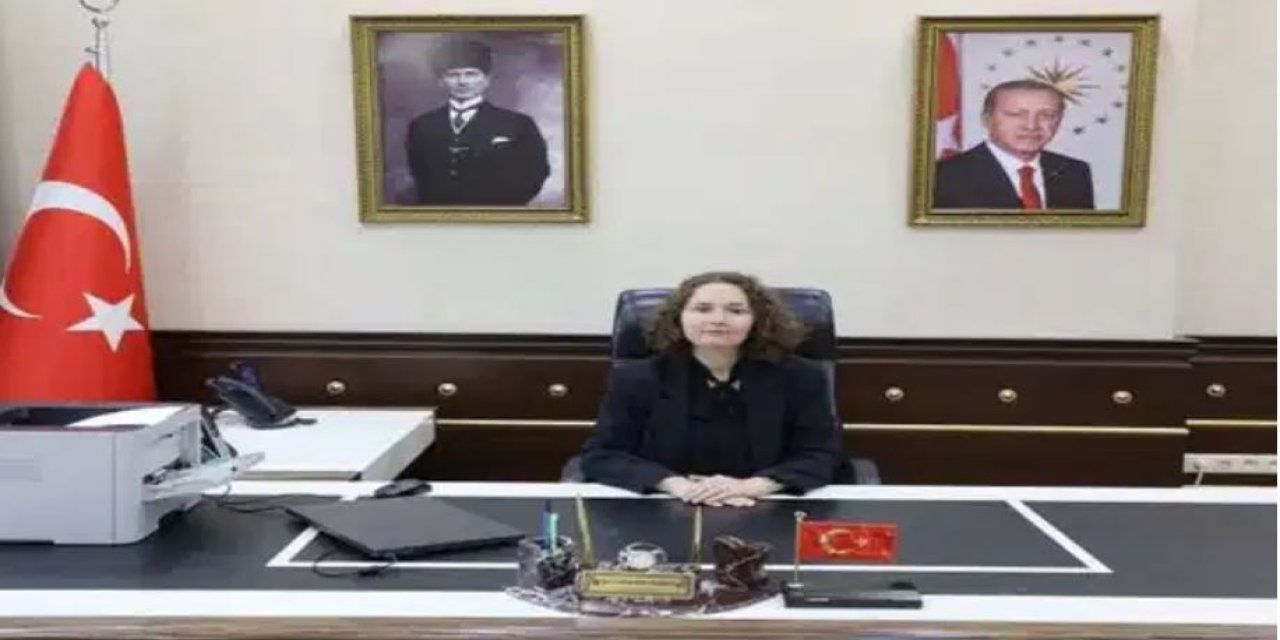 Şırnak valiliğine atanan İdil Özdemir Doğan Kimdir?