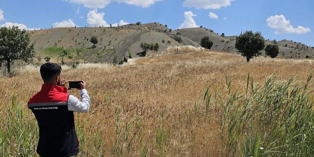Şırnak'ta Tarımsal Üretim İçin Saha Çalışmaları Sürüyor