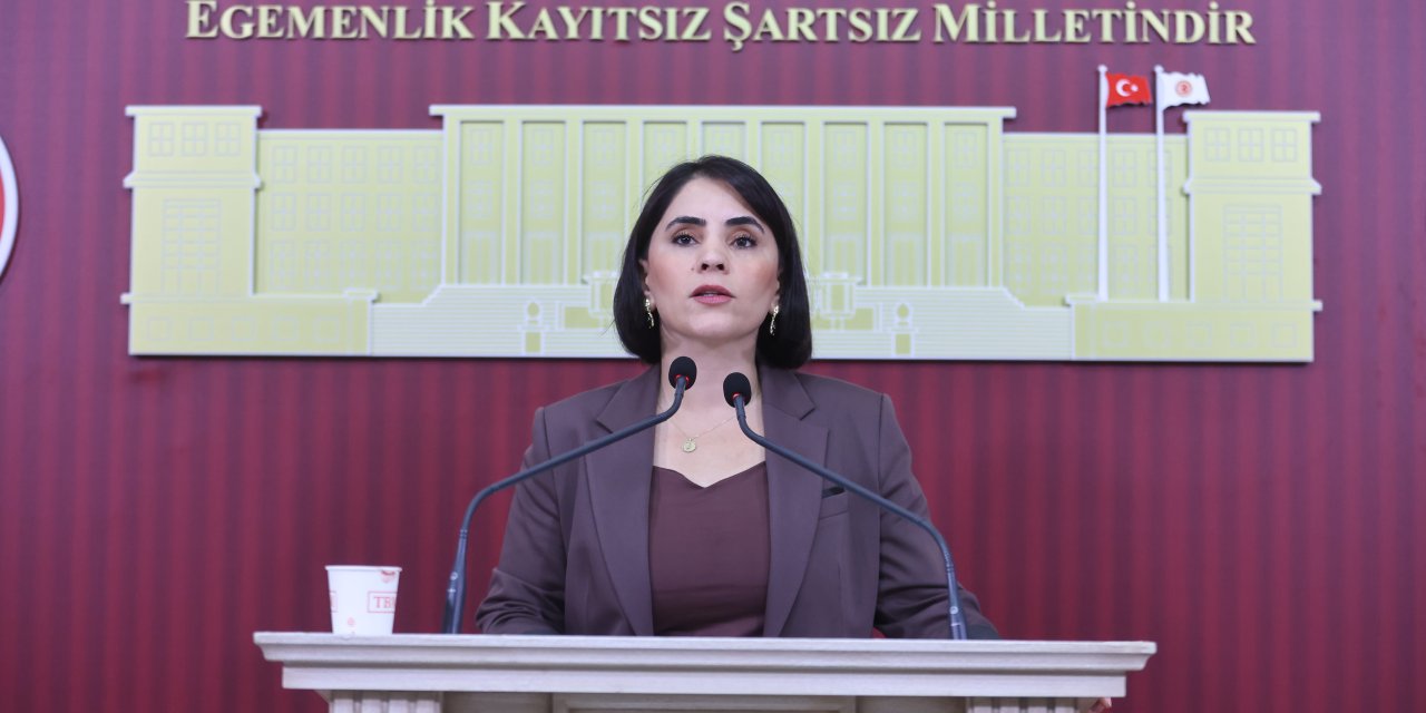 Uludere’de Sağlık Sorunları Meclis Gündeminde: “4 Aydır Çocuk Doktoru Yok”