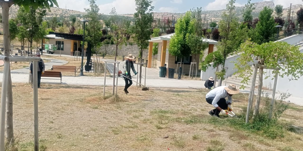 Şırnak’ta Yeşil Alanlar Yenileniyor: Budama ve Peyzaj Çalışmaları Sürüyor