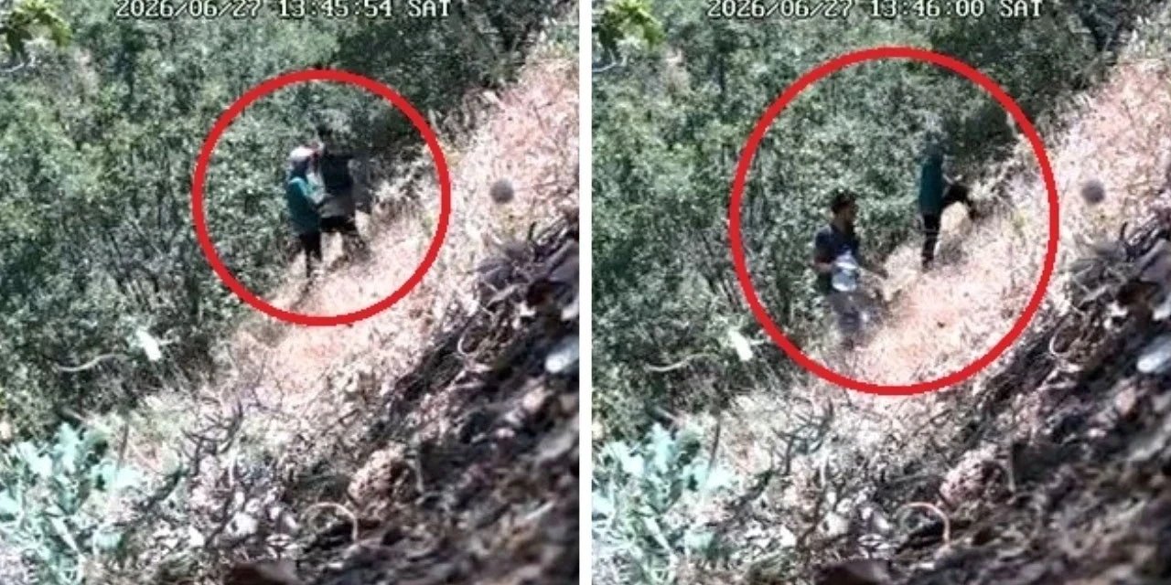 CHP'li Başkan ve oğlu kenevir bakımı yaparken yakalandı