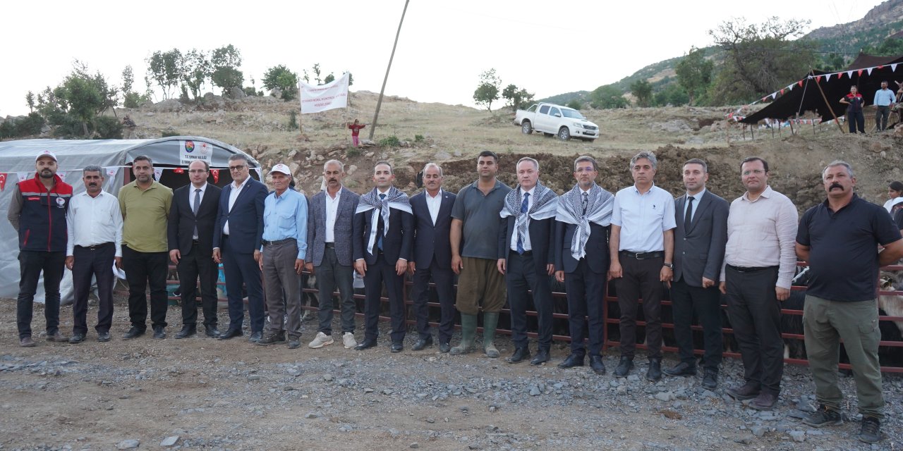 Şırnak'ta 600 Bin Küçükbaş Hayvan Mobil Kontrol Noktalarında Sağlık Taramasından Geçti