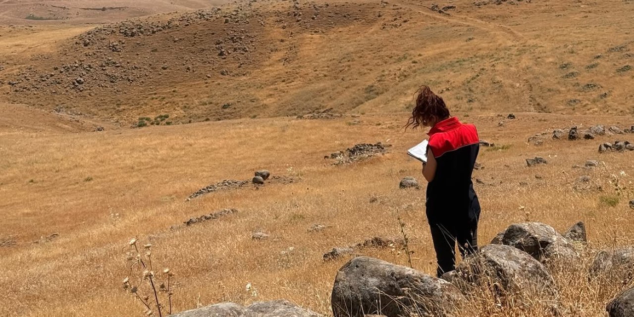 Şırnak'ta Mera Denetimi: Bağlarbaşı Köyünde Teknik Tespit Çalışması Yapıldı