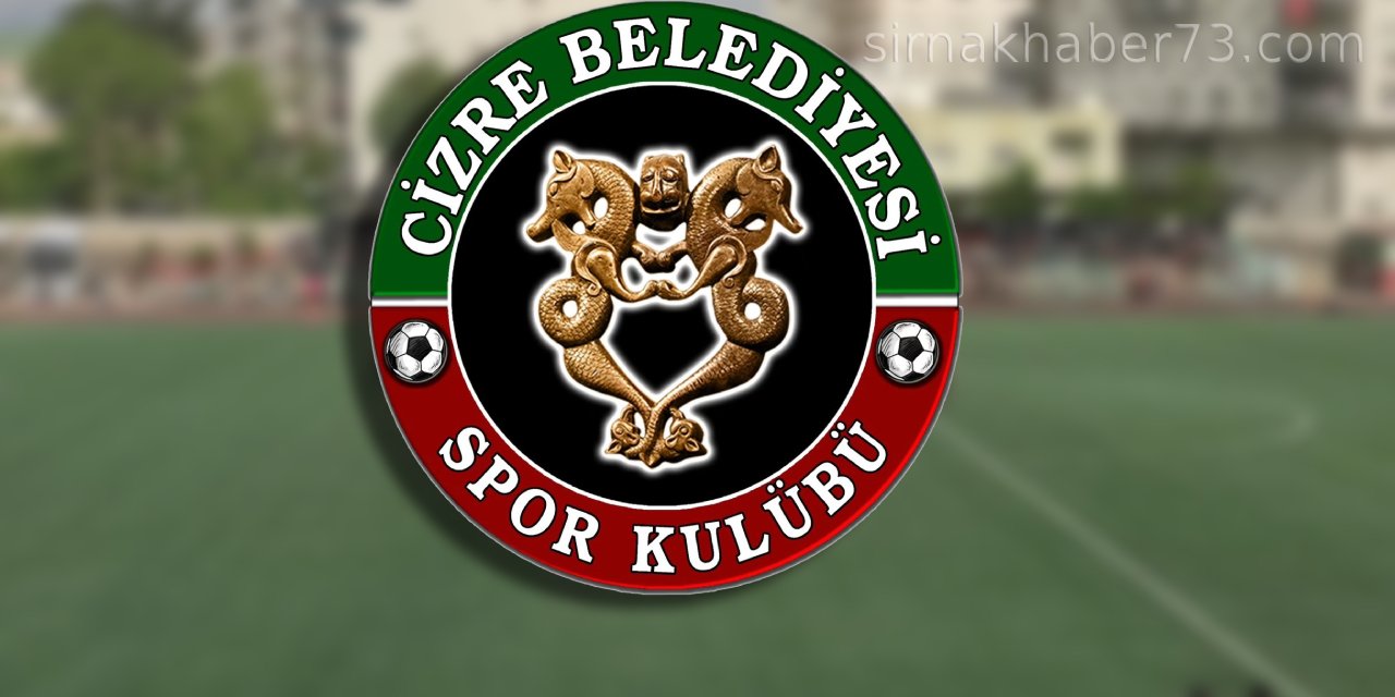 Cizre Belediyespor'un yükseldiği ligin adı değişti