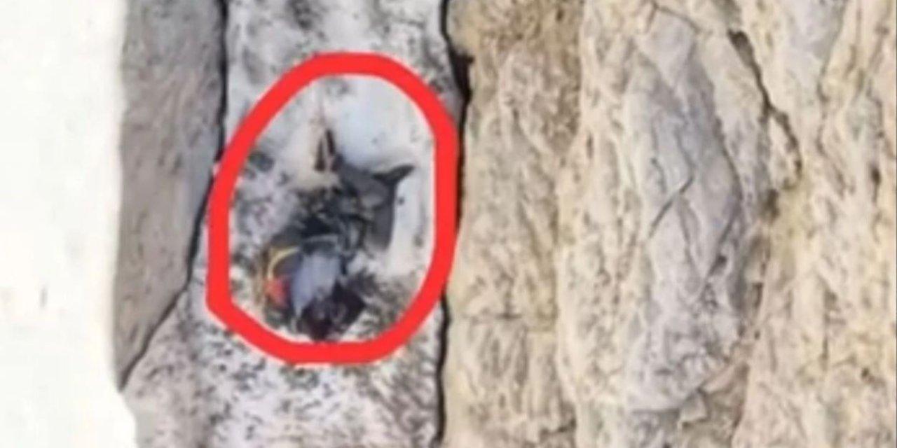 Şırnak sınırında günlerdir kayıp olan şahıs ölü olarak bulundu!