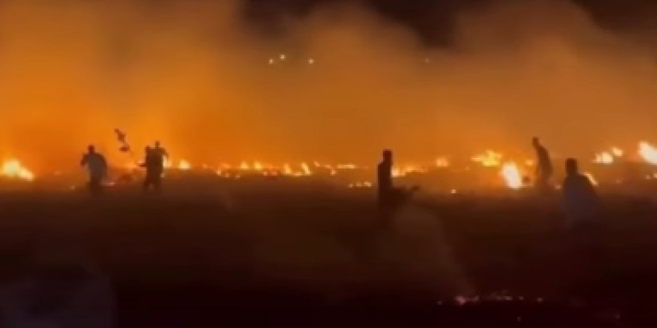 Cizre'de Korkutan Yangın: Rüzgar Alevleri Kısa Sürede Büyüttü