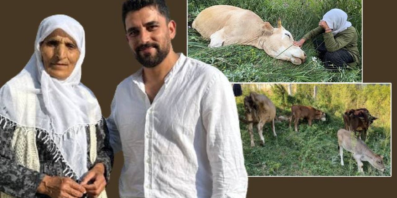 Hakkari'de gözyaşları yerini sevince bıraktı
