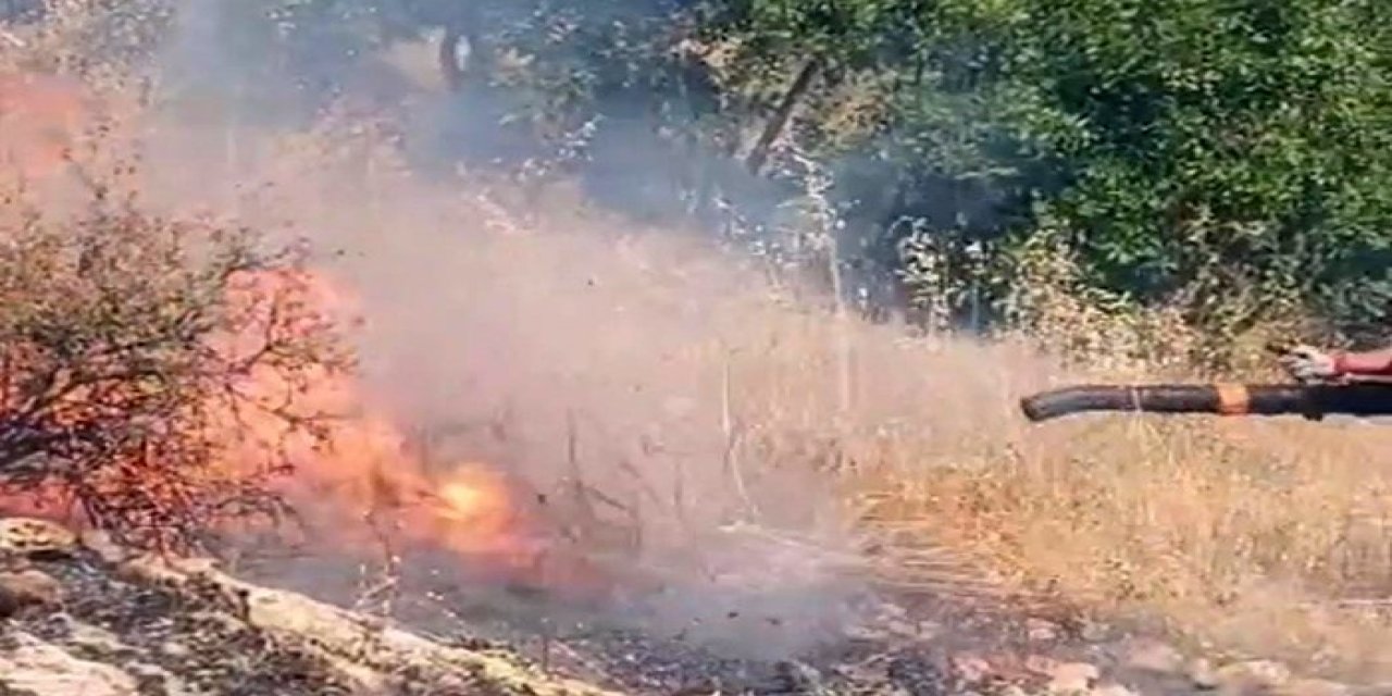 Diyarbakır’da Örtü Ve Orman Yangını