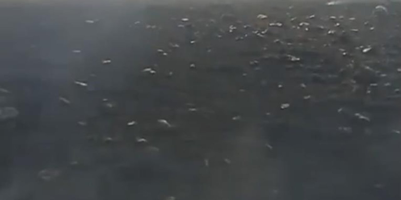 Batman’da 150 dönüm alan çıkan yangında küle döndü