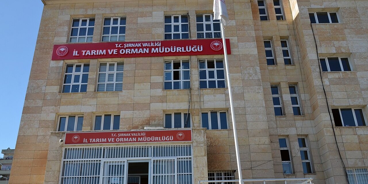 Şırnak’ta temizlik görevlisi, şoför ve farklı kadrolarda 54 personel alınacak
