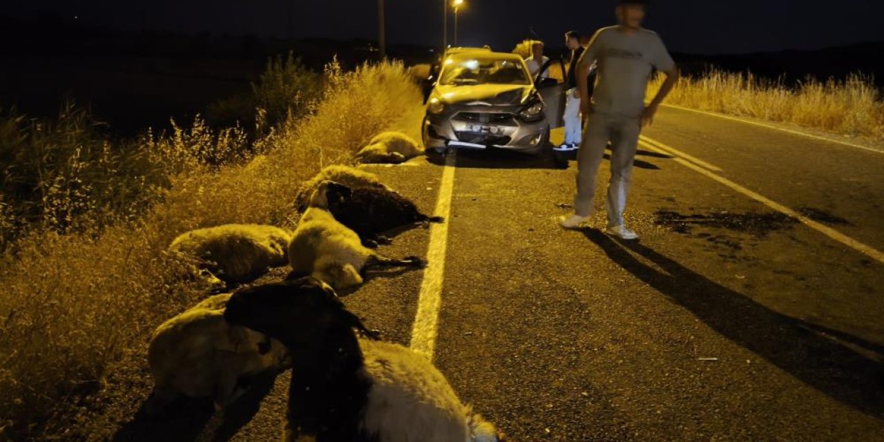 Otomobilin sürüye çarpması sonucu 10 koyun telef oldu