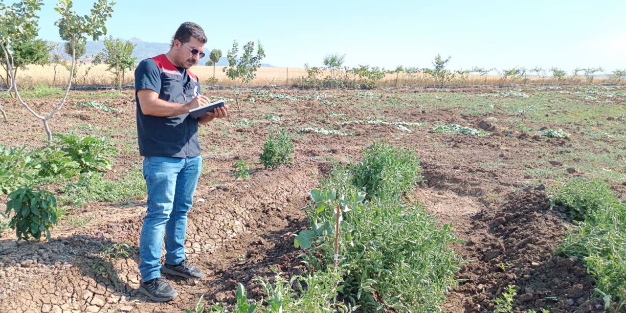 Şırnak'ta Bitki Su İhtiyaç Belgesi için arazi tespit çalışması yapıldı