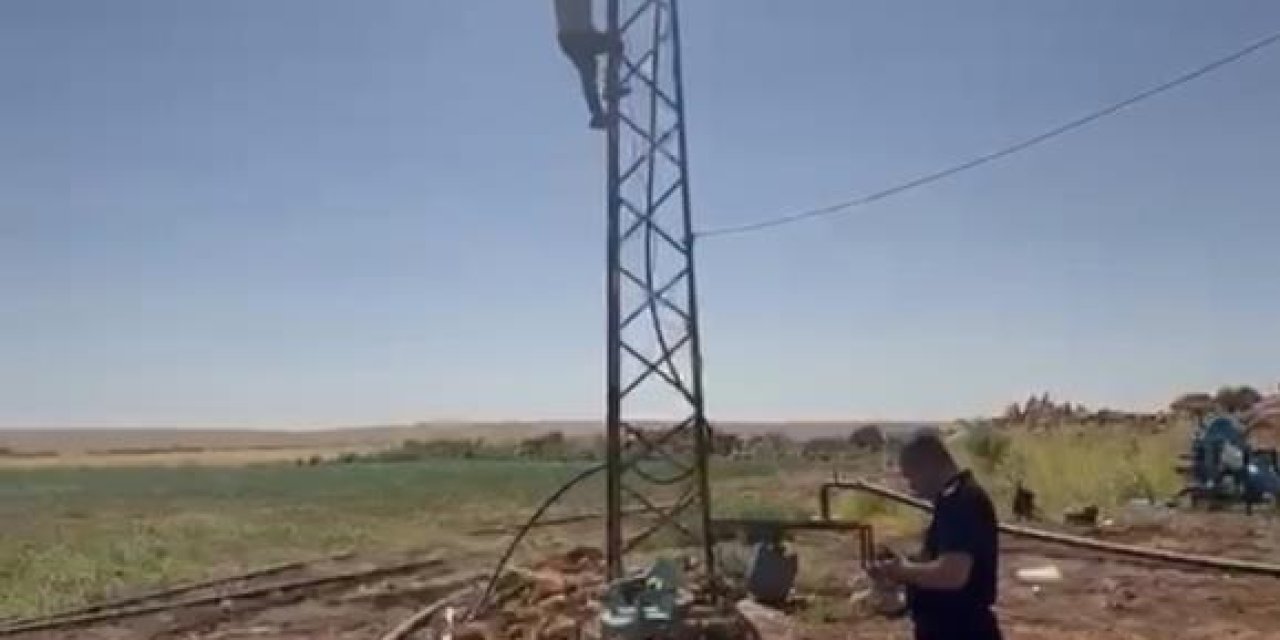 Kaçak trafo sökülmesin diye elektrik direğine çıktı
