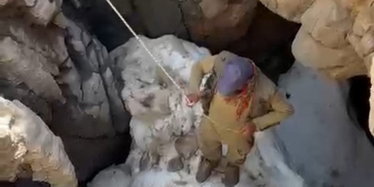 Hakkari'de sigortalı hayvan için hayatlarını riske attılar