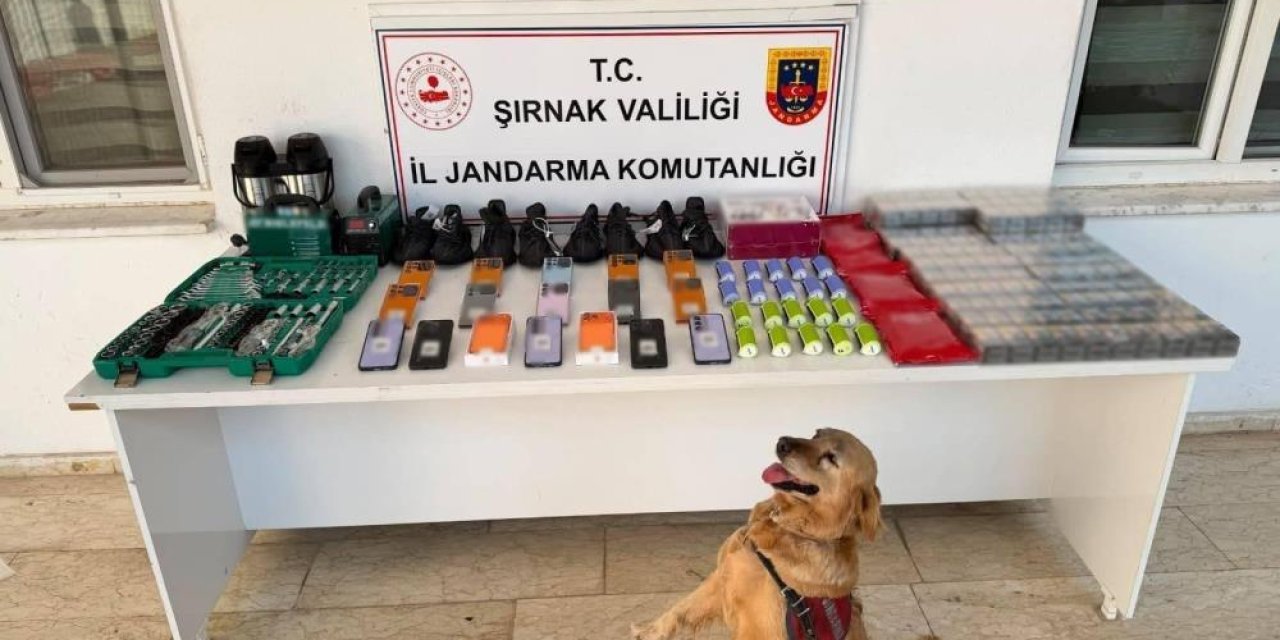 Şırnak’ta 26 milyon liralık kaçakçılık operasyonu: 140 şüpheliye işlem yapıldı