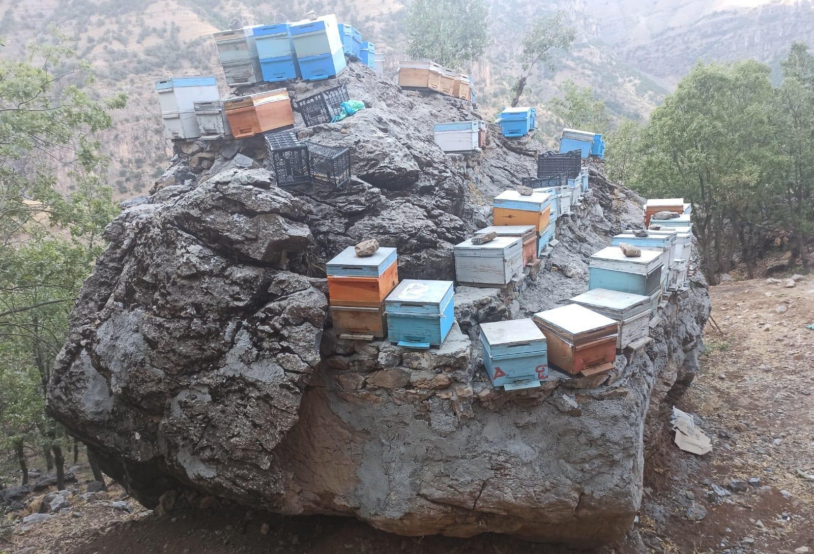 ARILARINI AYILARDAN KORUMAK İÇİN KOVANLARI KAYANIN ÜZERİNE YERLEŞTİRDİLER