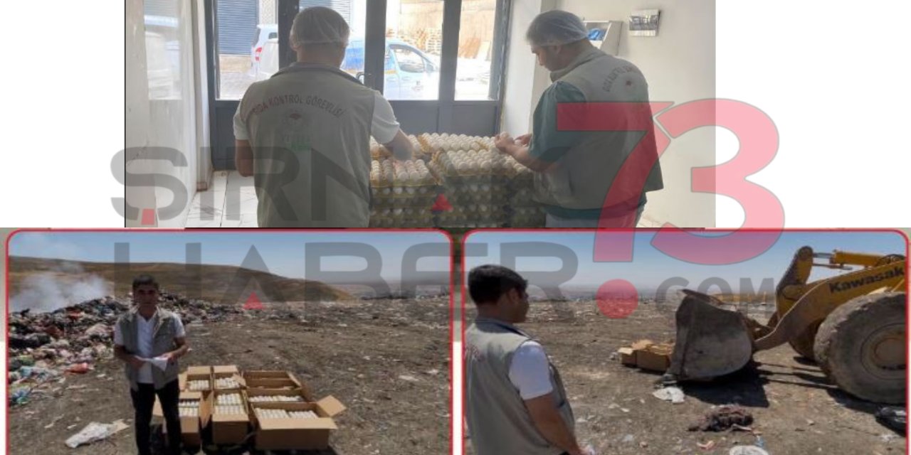 Şırnak’ta Denetimde Ortaya Çıktı: Damgasız Yumurtalar Çöpe Gönderildi