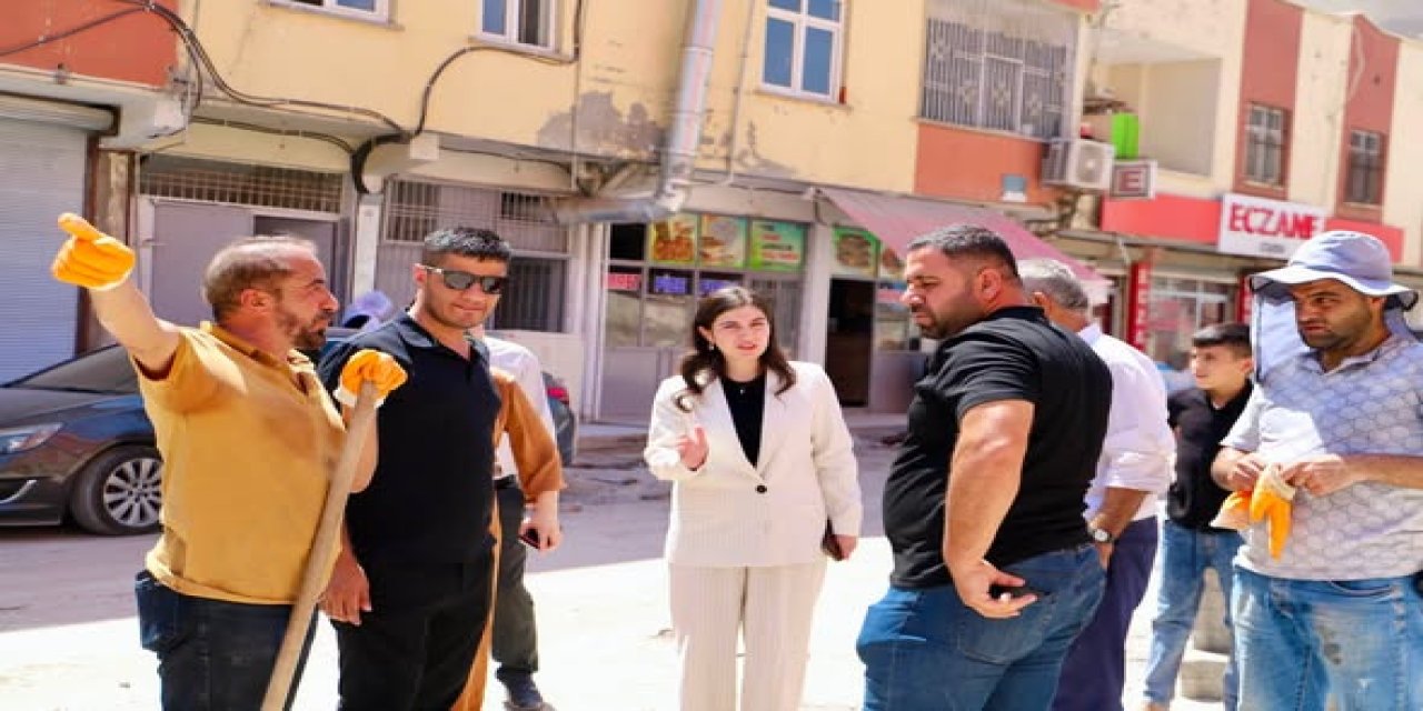 Silopi Belediye Başkanı Ormanlı, Doğalgaz Çalışmalarını Yerinde İnceledi