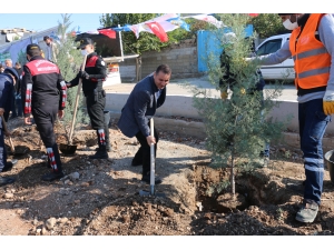 Kahta'da "Milli Ağaçlandırma Günü"nde topraklar fidanla buluştu