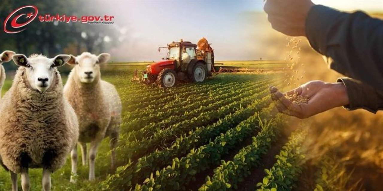 Silopi’de Çiftçiye Müjde: 2027 ÇKS Başvurularında O Şart Kaldırıldı