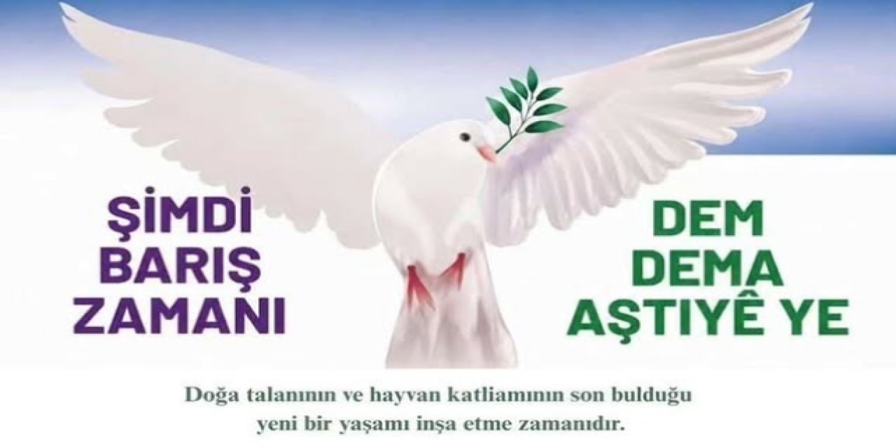 Şırnak’ta 1 Eylül Dünya Barış Günü için yürüyüş çağrısı