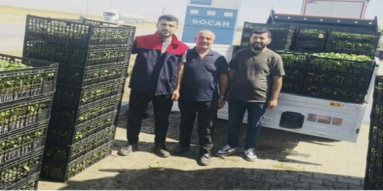 Cizre’de Çiftçilere Yüzde 75 Hibeli Fide Desteği
