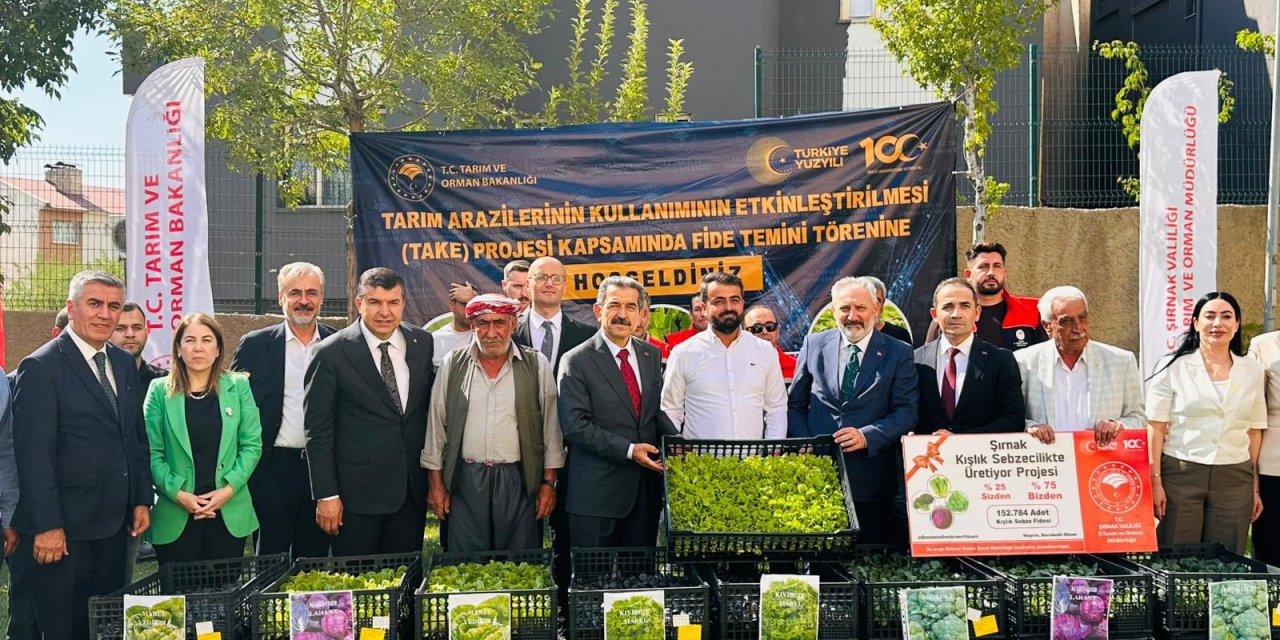 Şırnak’ta üreticilere büyük destek: 152 bin 784 kışlık sebze fidesi dağıtıldı