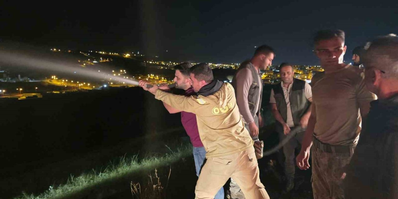 İdil’de Alevlerle Saatlerce Mücadele: Yangın Köy Evlerine Ulaşmadan Söndürüldü