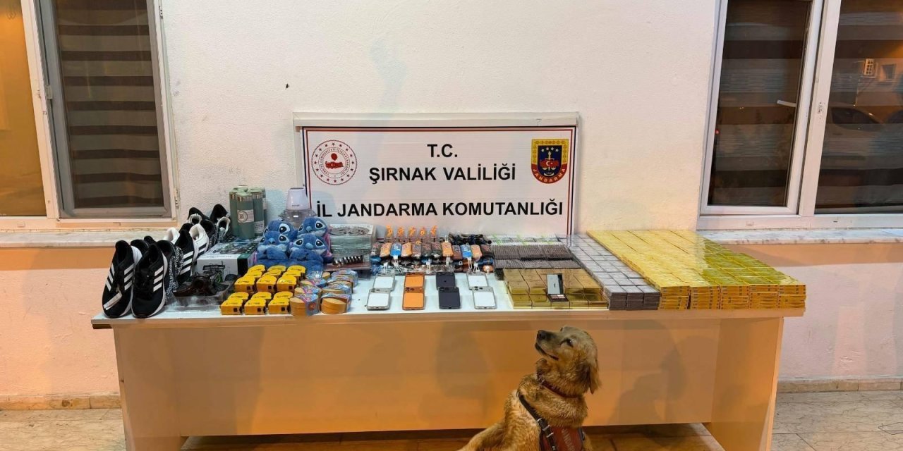 Şırnak’ta 196 şüpheli hakkında işlem yapıldı