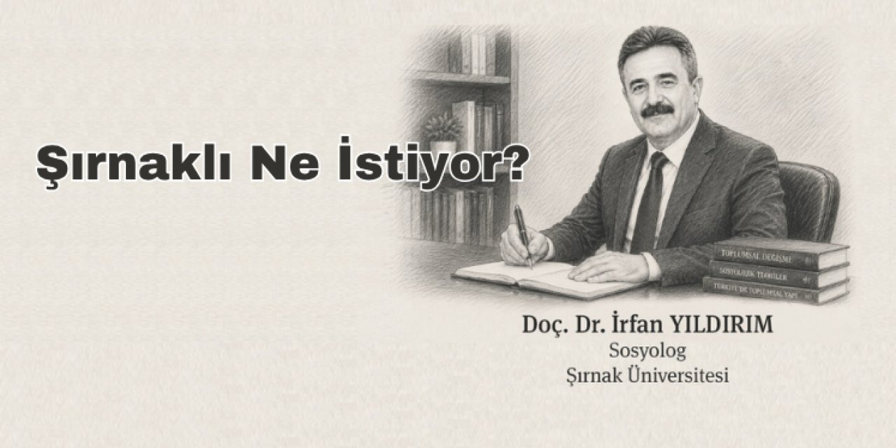 Şırnaklı Ne İstiyor?