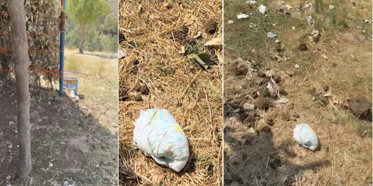 Şırnak’ta Namaz Dağı’nda Çevre Kirliliği Tepkisi