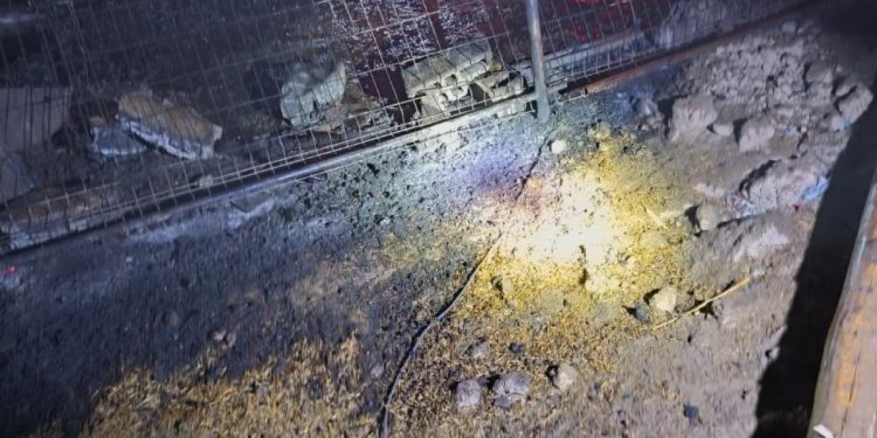 Batman’da yangın faciası: 80 küçükbaş hayvan telef oldu