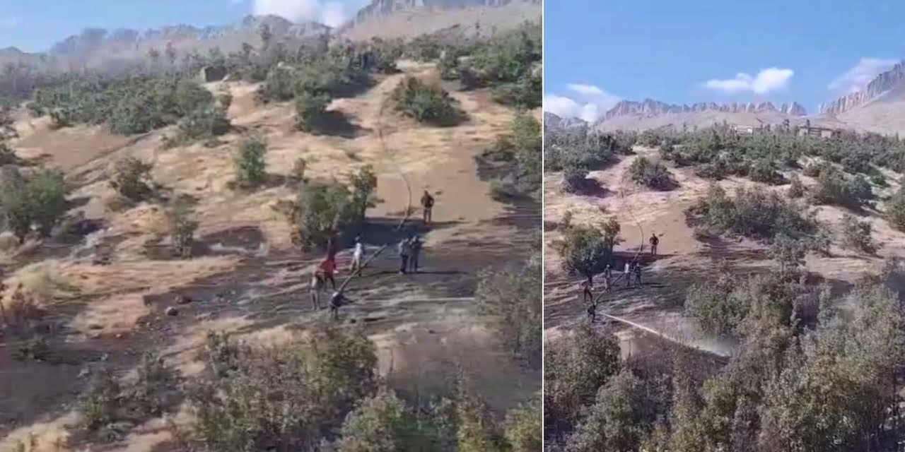 Şırnak’ta ormanlık alanda yangın: Müdahale ediliyor