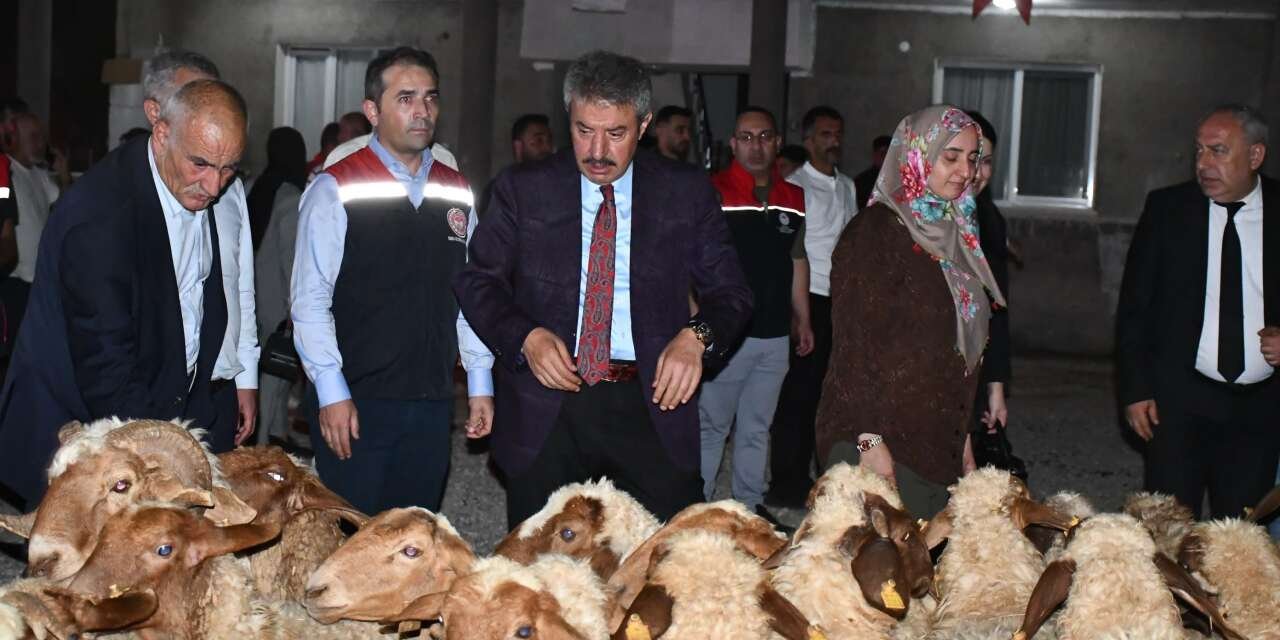 Şırnak'ta Üreticiye Destek: Kadın Çiftçiye 100 Küçükbaş Hayvan Desteği