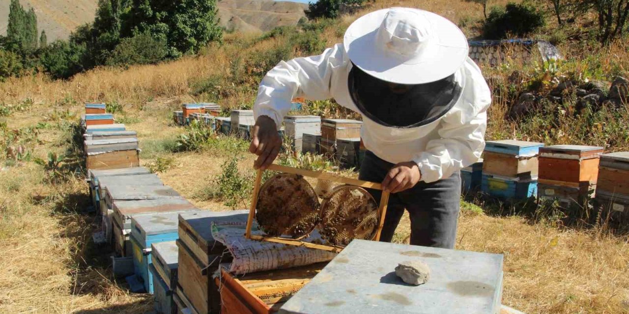 Şırnak’ın Dağlarında Bal Bereketi: Arıcılar Rekor Hasada Hazırlanıyor