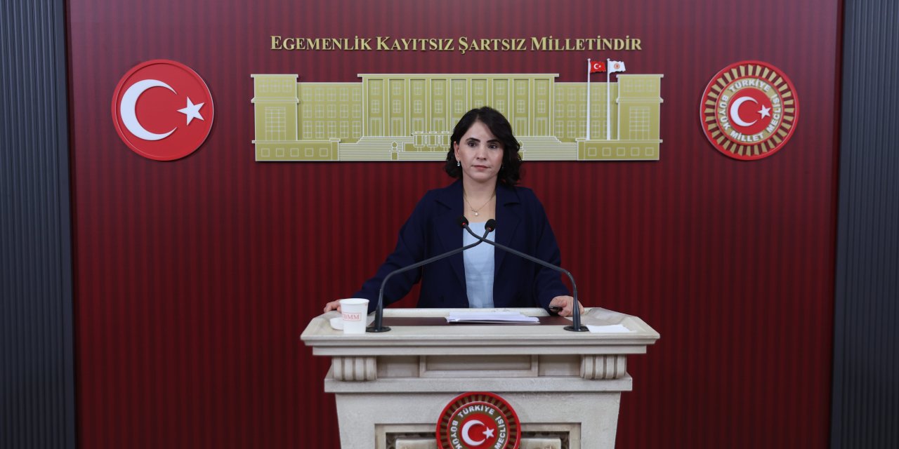 Nevroz Uysal Aslan: “Şırnak’ta Hala AMATEM Bulunmuyor”