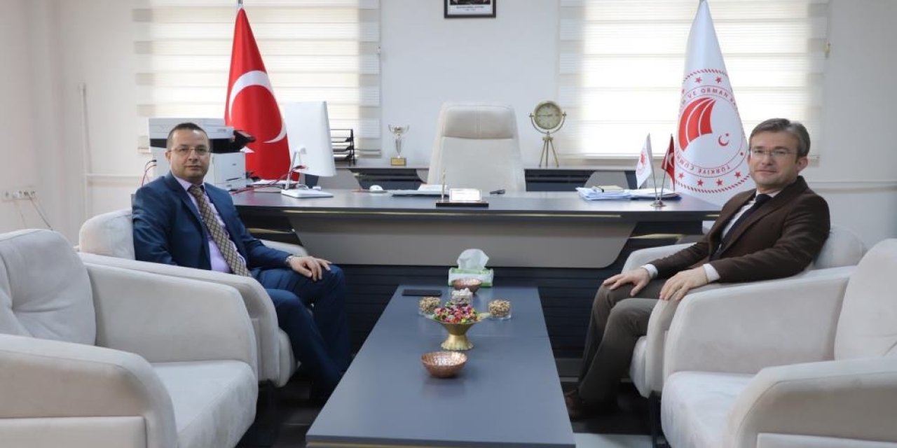 Cizre’de tarım ve hayvancılık çalışmaları değerlendirildi