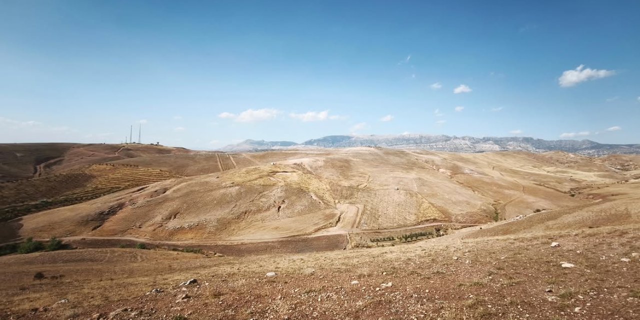 Silopi’de ağaçlandırma çalışmaları için inceleme yapıldı