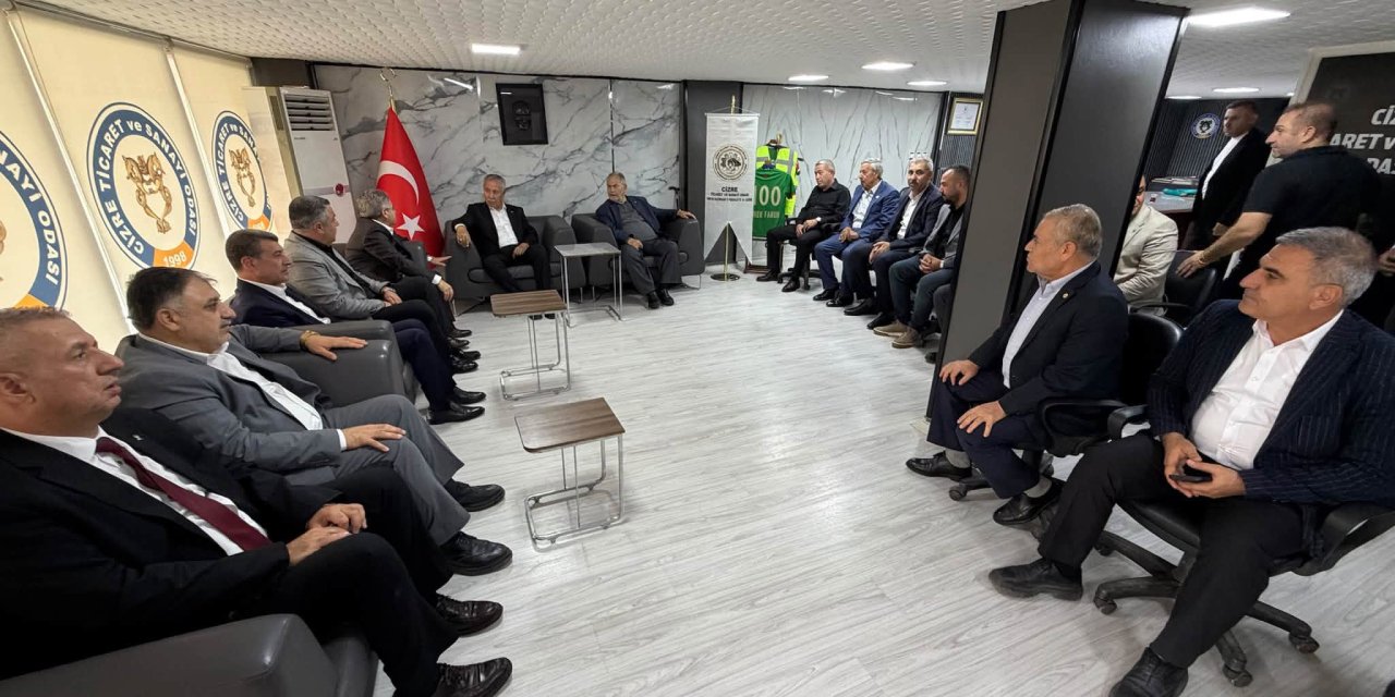 Bülent Arınç, Cizre’de tarihi ve kültürel mekanları ziyaret etti